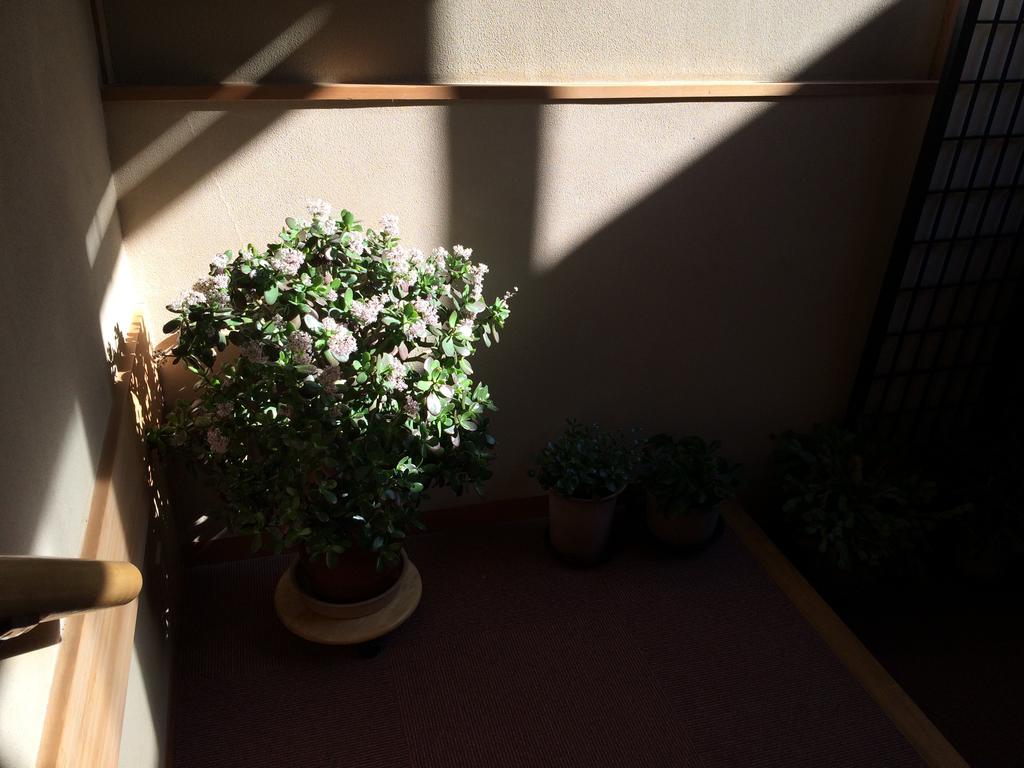 Hotel Yudanaka Onsen Yamazakiya à Yamanouchi  Extérieur photo